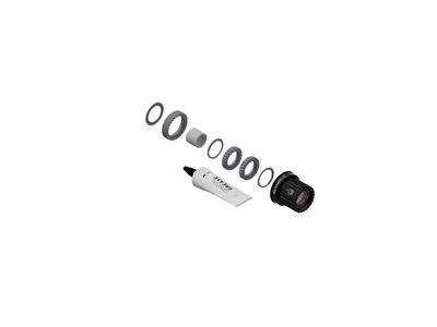 Agyhoz DT Swiss átalakító kit Ratchet LN Shimano Microspline 36T acél