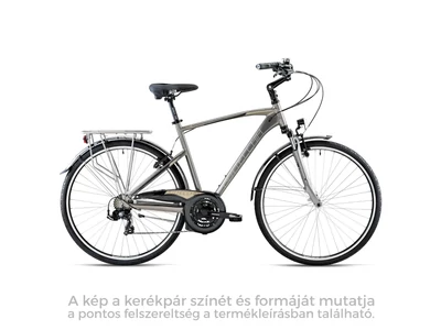 Bottecchia 220 ALU 21s FS Shimano TY500 - Férfi városi kerékpár - 2026 - TITANIUM