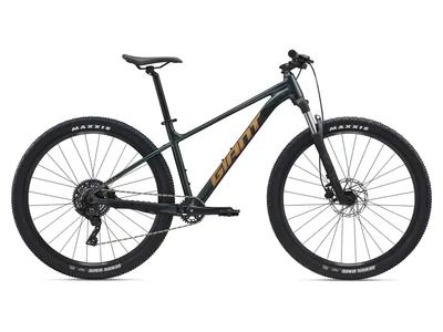 GIANT Talon 2  férfi MTB kerékpár - Asphalt Green