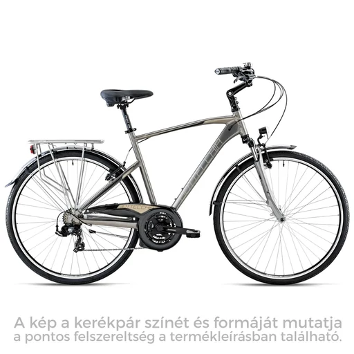 Bottecchia 220 ALU 21s FS Shimano TY500 - Férfi városi kerékpár - 2026 - TITANIUM