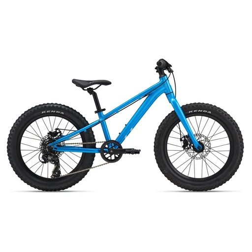 Liv STP 20 Liv - női gyermek MTB kerékpár - 2025
