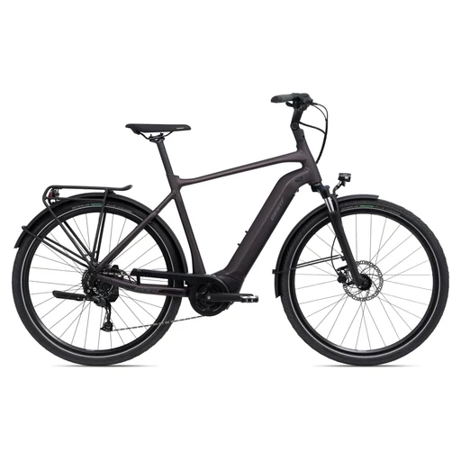 Giant Dailytour E+ 3 GTS elektromos kerékpár ROSEWOOD színben L méretben